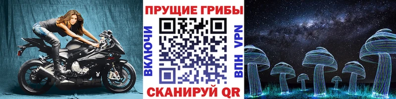 закладка  Дятьково  Псилоцибиновые грибы Magic Shrooms 