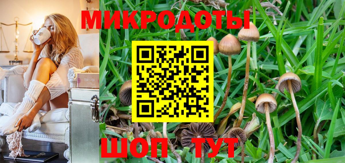 Дятьково  Галлюциногенные грибы мухоморы  Вход с VPN 